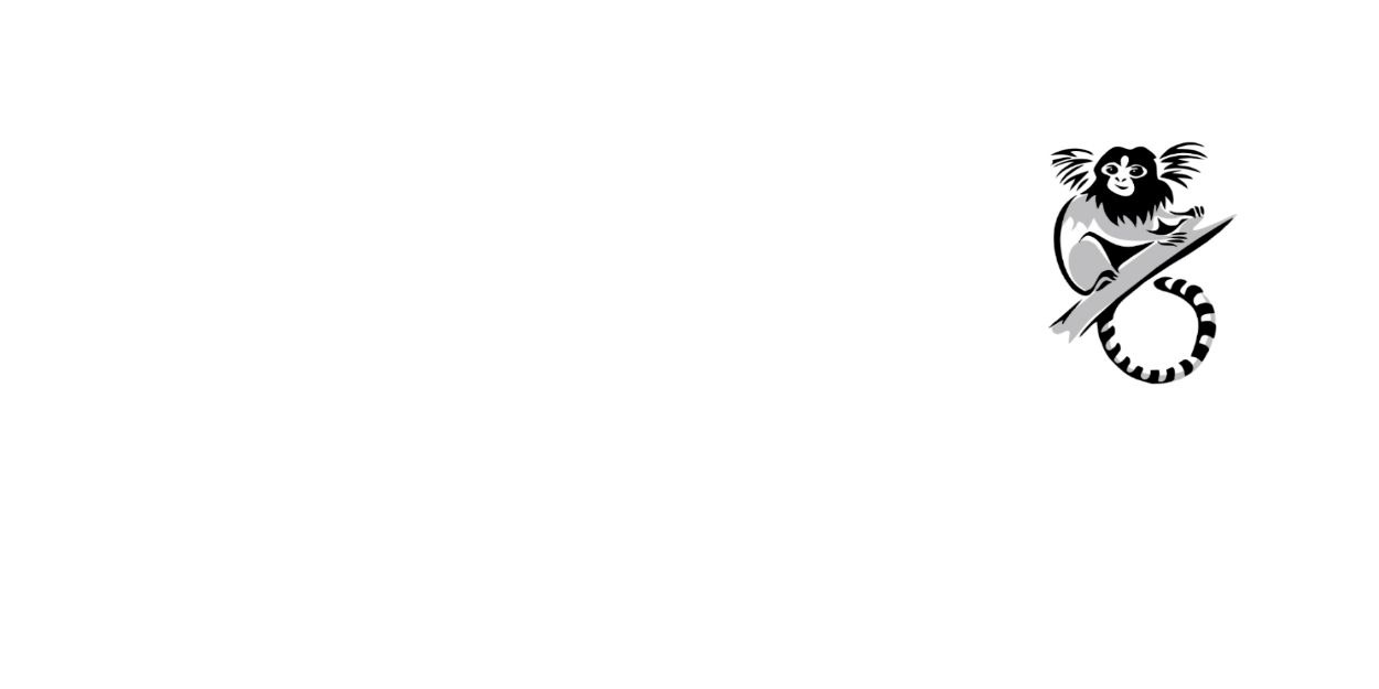 Pousada Vila Sagui